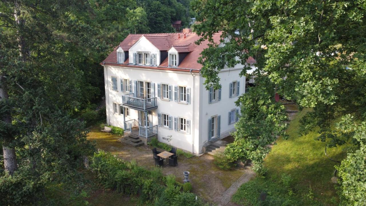 Im Park Wachwitzgrund - Grosse In Eg Der