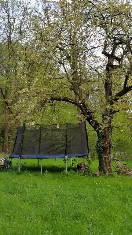 Im Park Wachwitzgrund - Grosse In Eg Der Apartamento