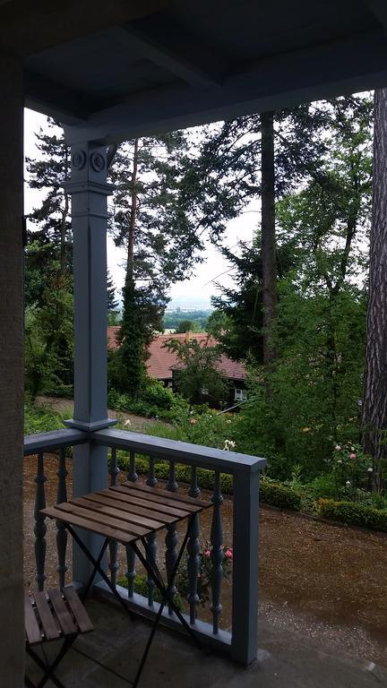 Im Park Wachwitzgrund - Grosse In Eg Der *
